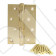 Петля универсальная Avers 100*75*2.5-B4-GM